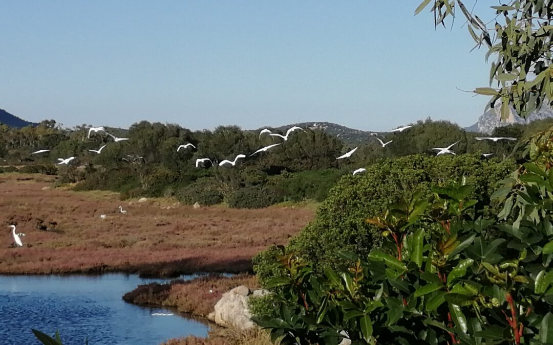 Sardinië