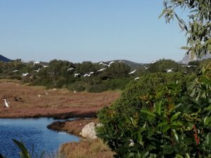 Sardinië