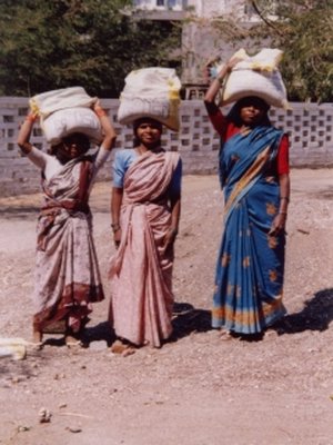 Reis Yamin Verschure - India-2001